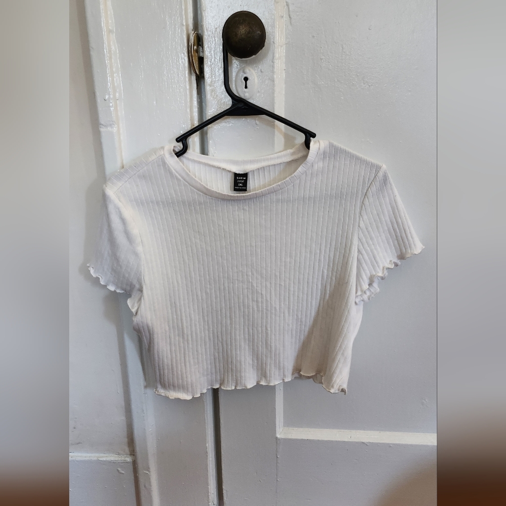 White,lined Crop Top